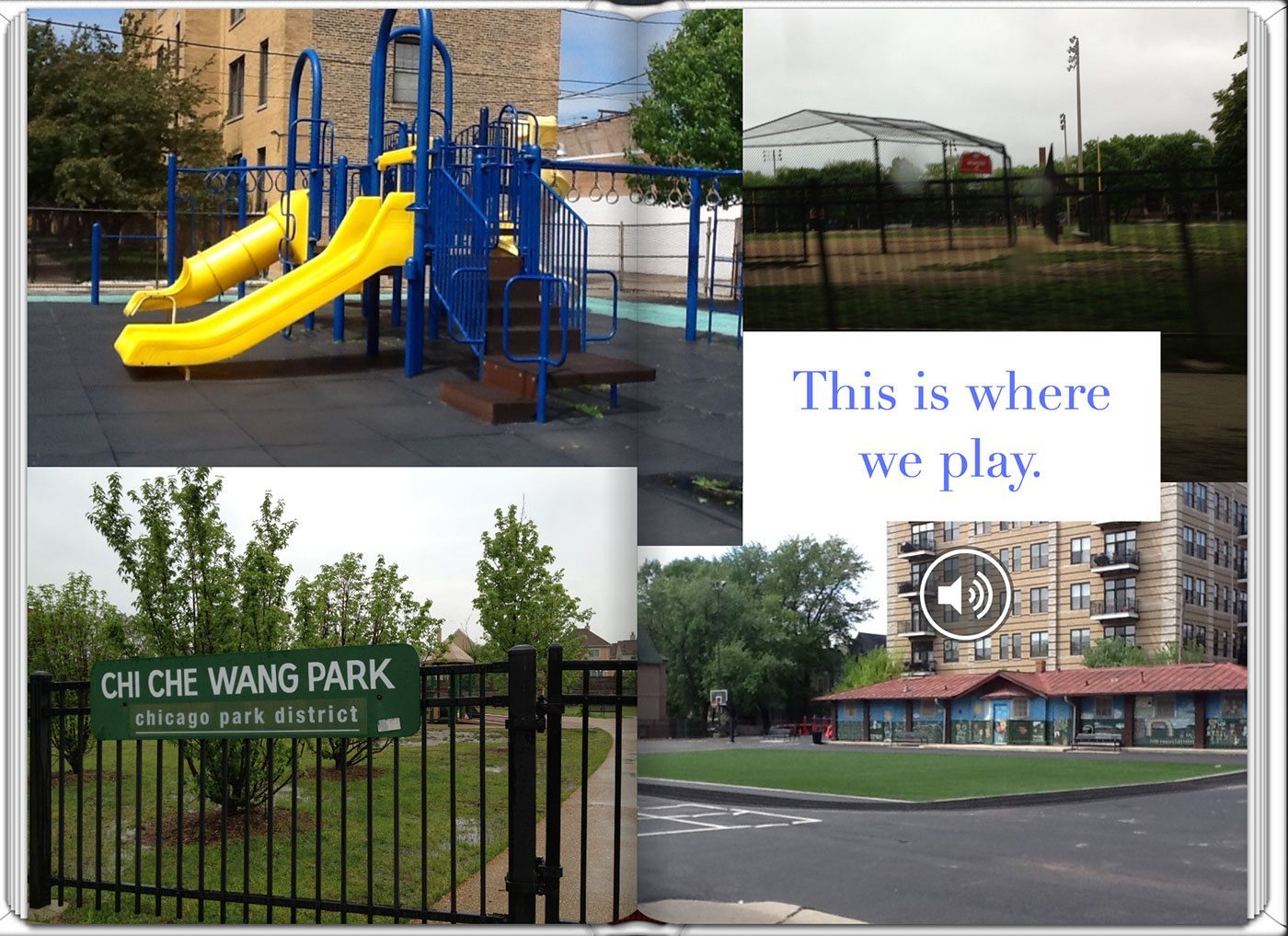 Featured image for “6Cs of education – Citizenship and Character education”